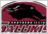 Salukis